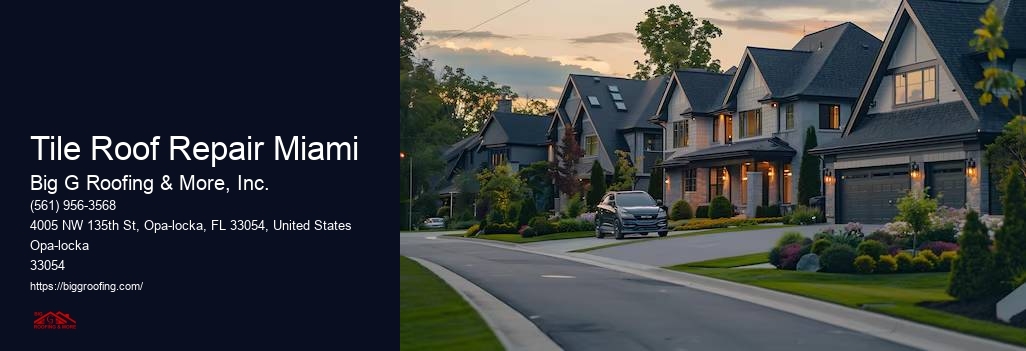 Tile Roof Repair Miami